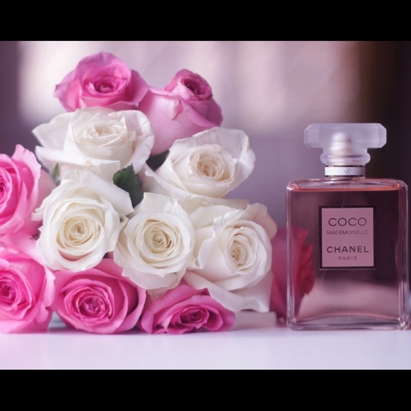 Meet your Posher, Latoya m - Picture 1 of 1